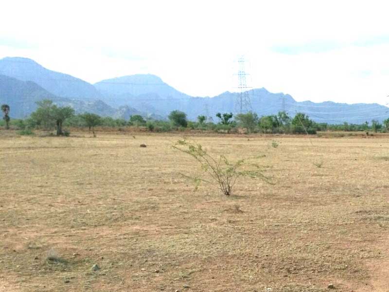 தொம்பக்குளம் அருகில்