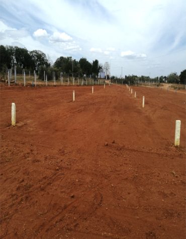 காலி மனைகள்