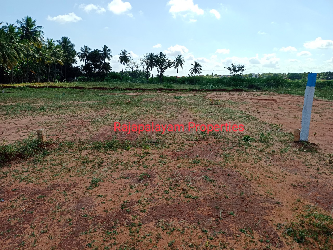 5.50 - 12 சென்ட் 4 பிளாட்டுகள் விற்பனைக்கு