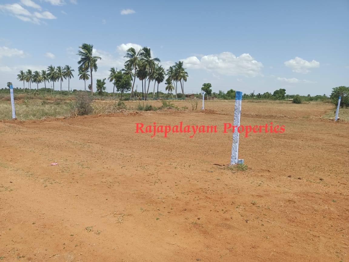 4.50 சென்டில் 2 DTCP பிளாட்டுகள் விற்பனைக்கு