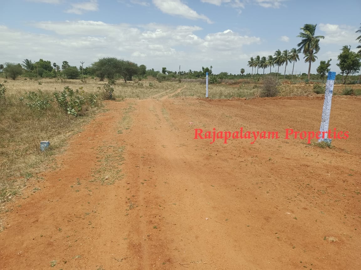 4.50 சென்டில் 2 DTCP பிளாட்டுகள் விற்பனைக்கு