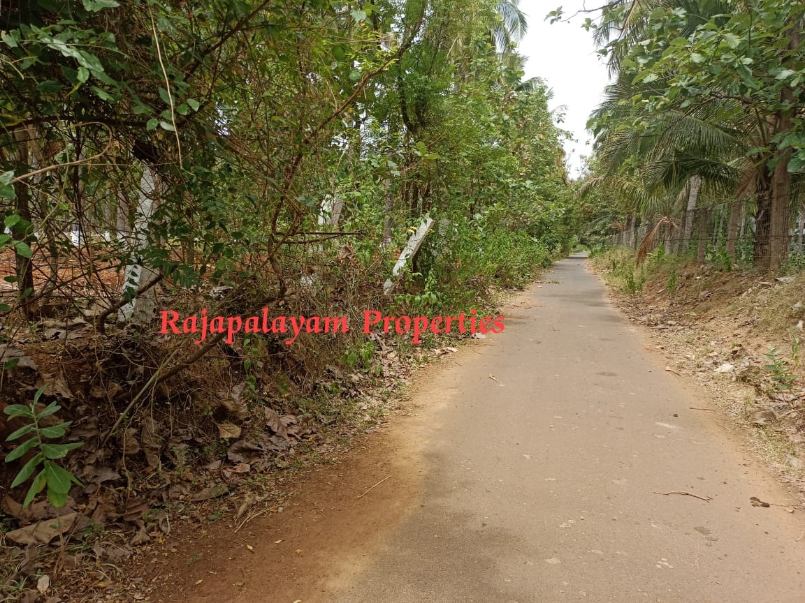 7 ஏக்கர் தோப்பு விற்பனைக்கு