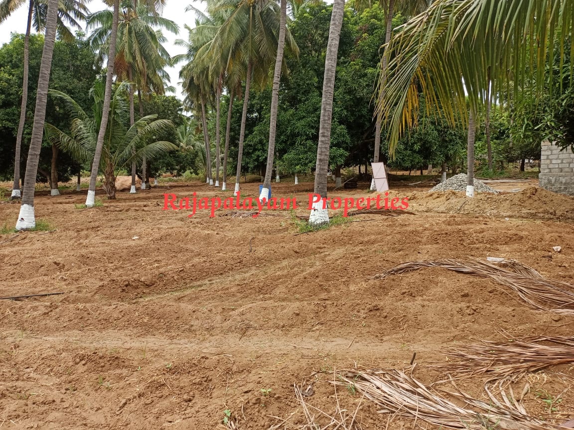 7 ஏக்கர் தோப்பு விற்பனைக்கு