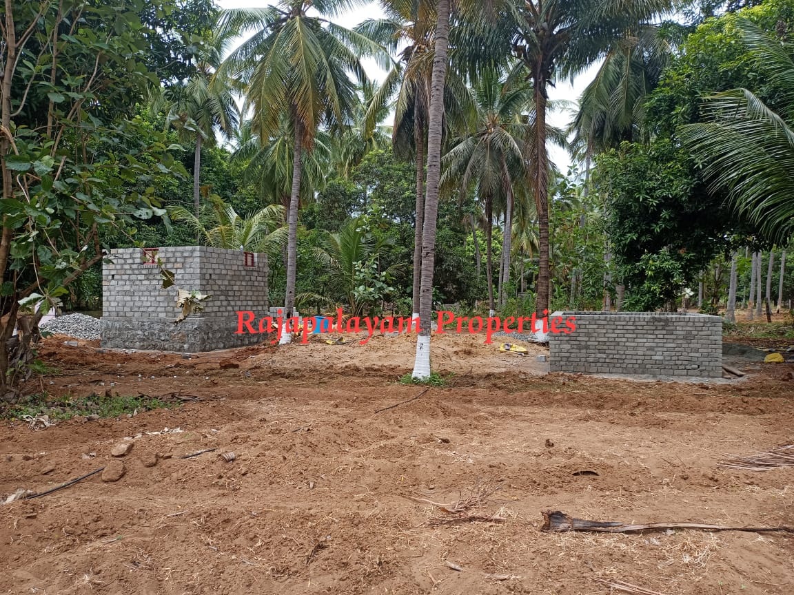 7 ஏக்கர் தோப்பு விற்பனைக்கு