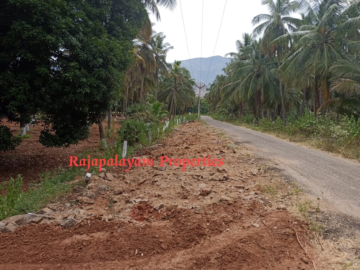 7 ஏக்கர் தோப்பு விற்பனைக்கு