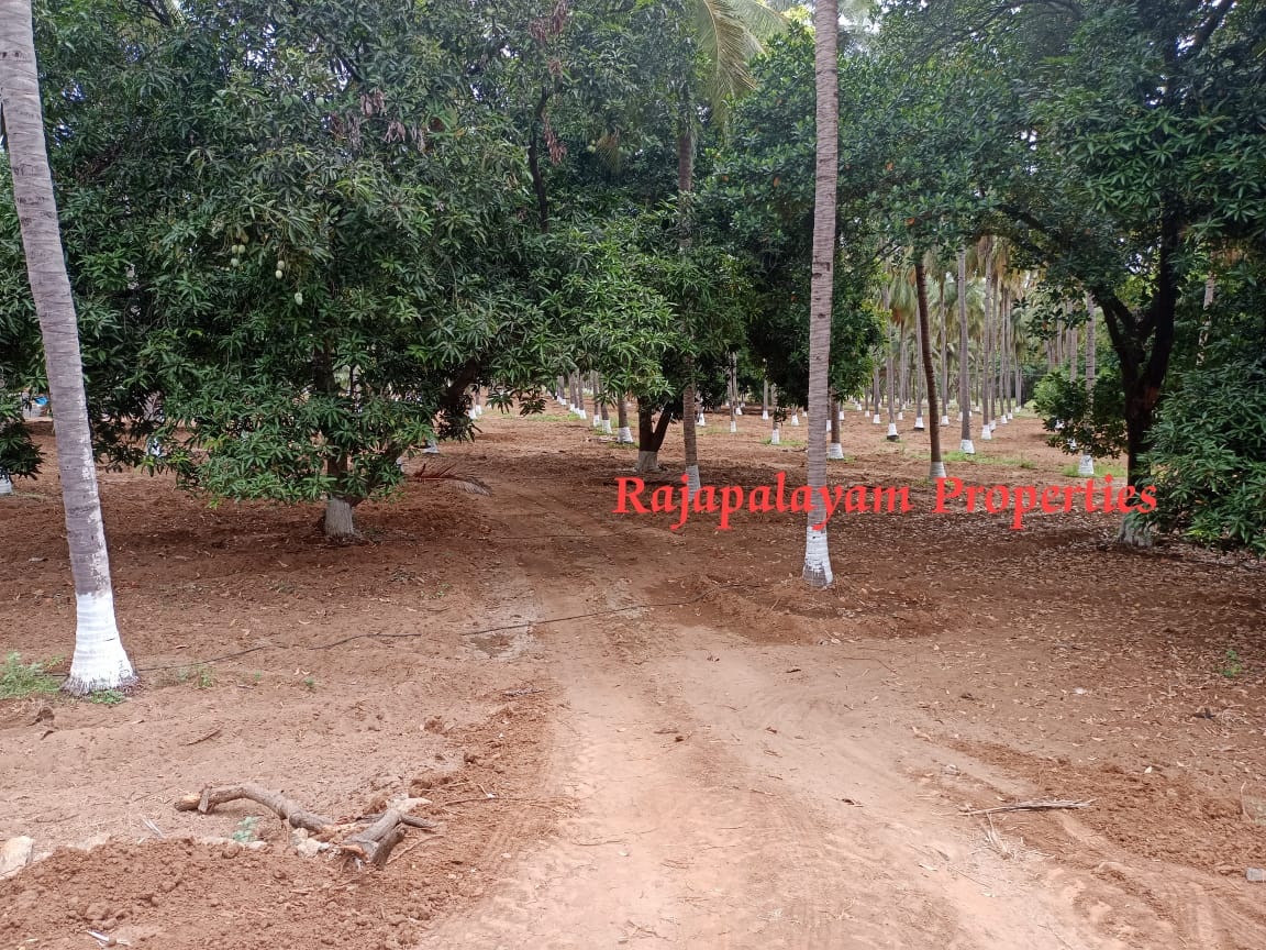 7 ஏக்கர் தோப்பு விற்பனைக்கு