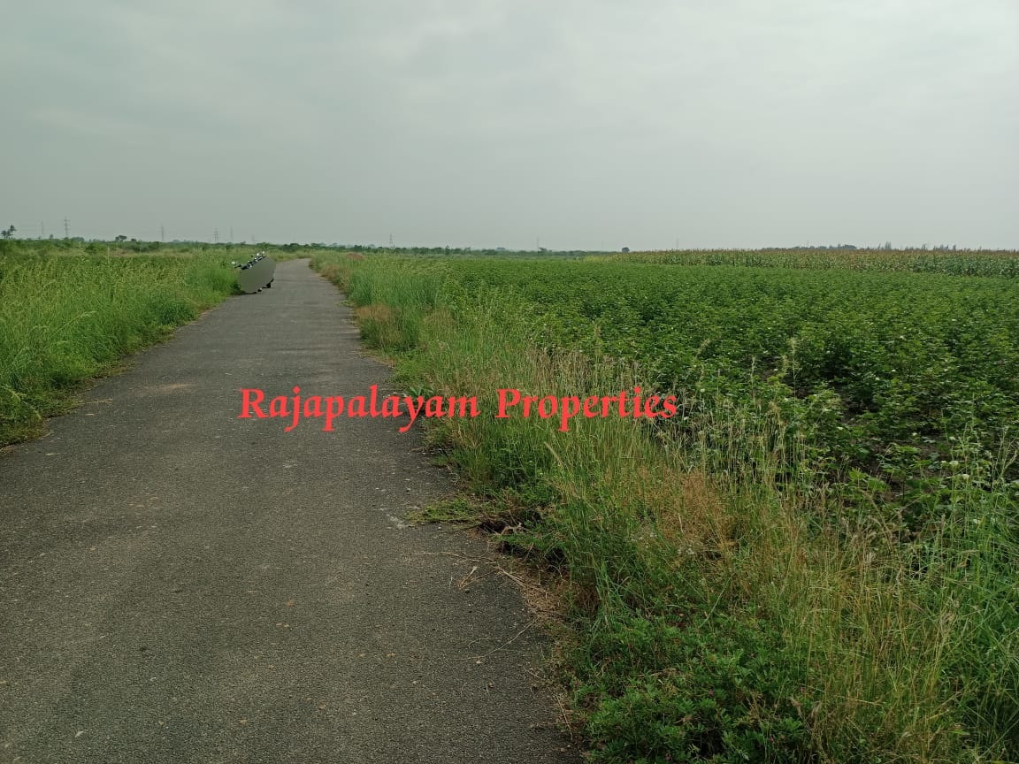 1 + 1 ஏக்கர் விவசாய நிலம் விற்பனைக்கு