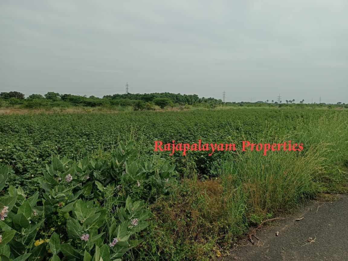 1 + 1 ஏக்கர் விவசாய நிலம் விற்பனைக்கு